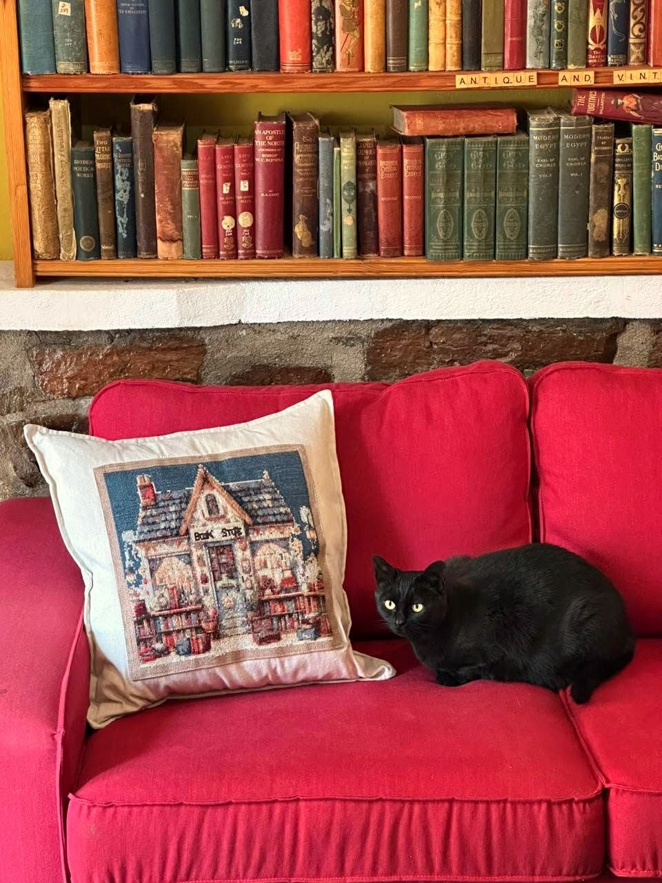 A black cat on the red sofa